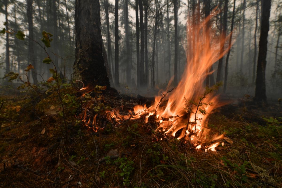 В Иркутской области возле села Хайта потушили лесной пожар
