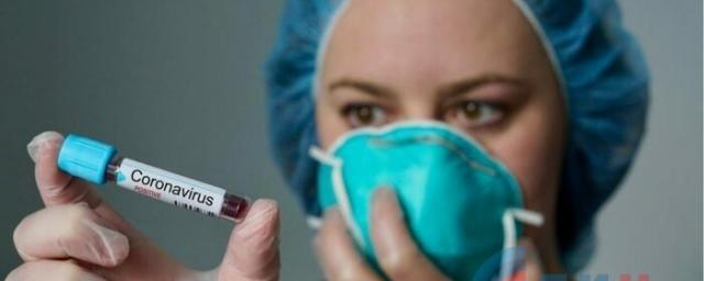 В Красноярске ученые создали быстрый тест на коронавирус