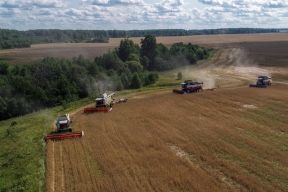 Рекордный экспорт АПК Марий Эл: 21 млн долларов в 2025 году