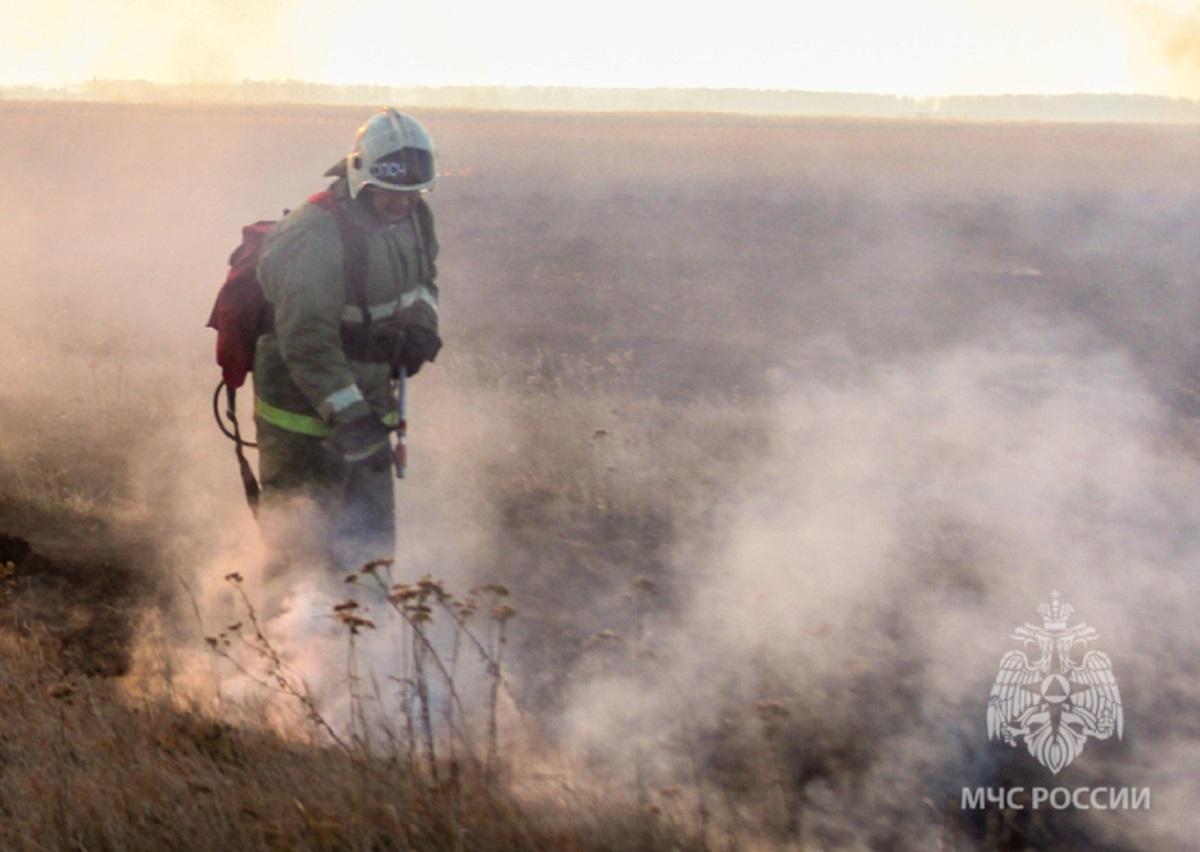 Спасатели за двое суток потушили 38 пожаров в Алтайском крае