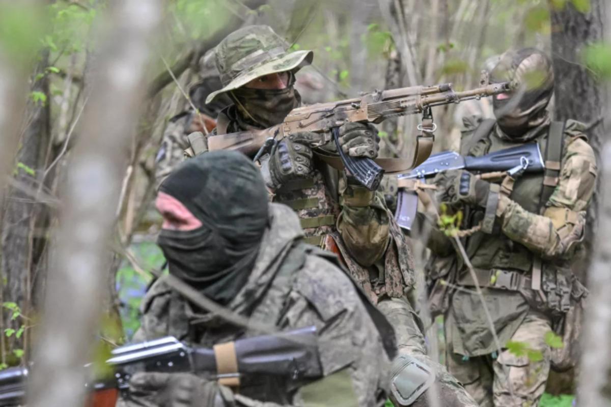 Российские войска освободили два населенных пункта в ДНР