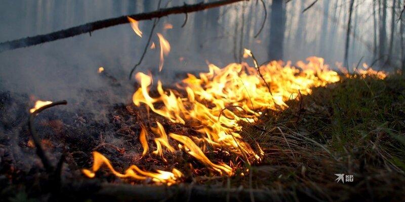 В Свердловской области наказания для нарушителей противопожарного режима станут строже