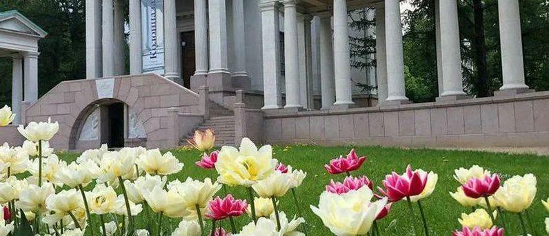 Дмитрий Волков рассказал об открытии в Красногорске комплекса «Ботанические оранжереи»
