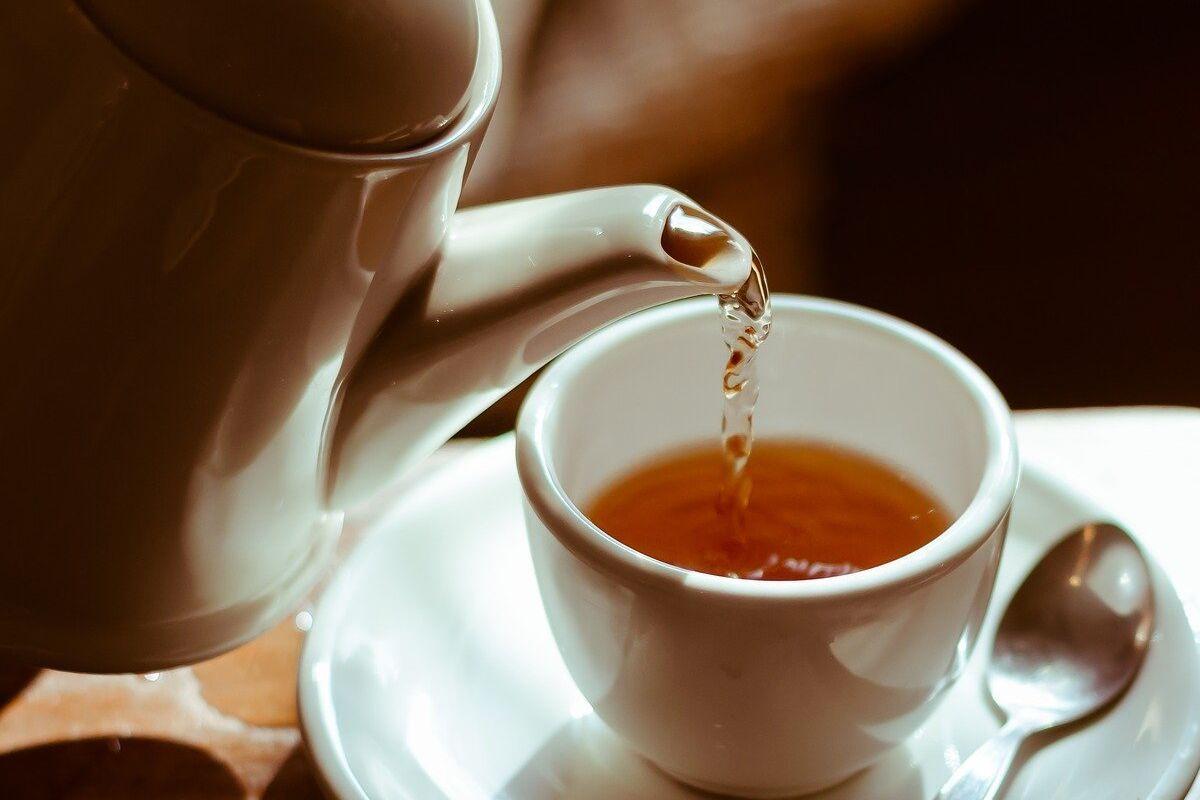 Эндокринолог Павлова: Три чашки чая в день помогают снизить биологический возраст