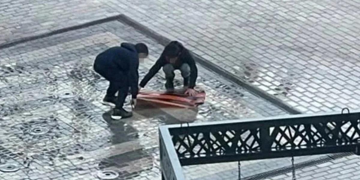 Следователи СК России проверят выдачу гражданства родителям растоптавших георгиевскую ленту детей