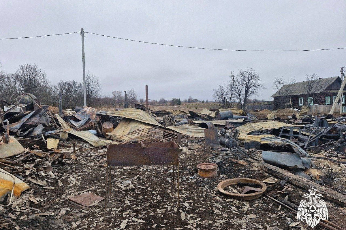 Пенсионер из Удмуртии вместе с шашлыком сжег два дома