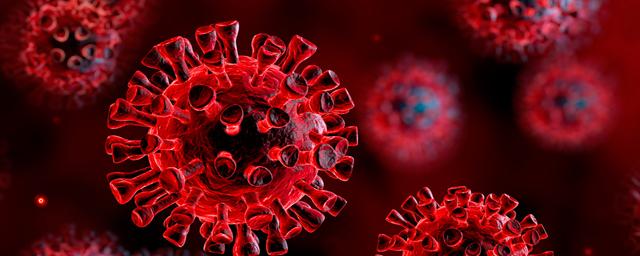 Новый антирекорд: в России за сутки выявили 15 982 случая коронавируса