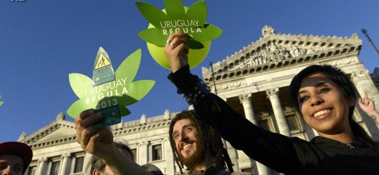 В аптеках Уругвая летом начнут продавать марихуану