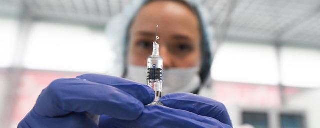 В России прокомментировали сообщения о доступе элиты к вакцине от COVID-19 в апреле