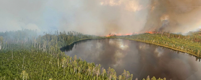 Под Нижним Новгородом продолжает распространяться лесной пожар по Воротынскому району