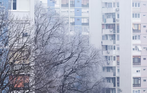 В Екатеринбурге неожиданно выпало три сантиметра снега