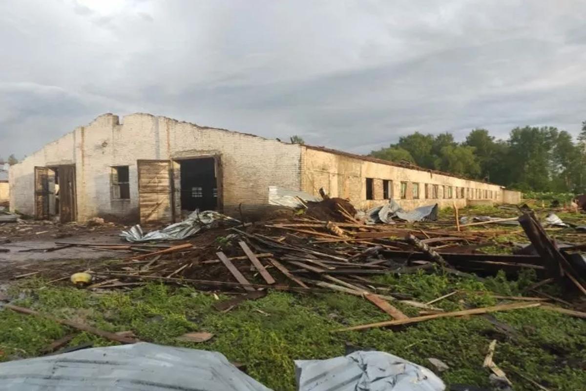 В Псковской области ураган снёс крыши животноводческих комплексов и частных домов