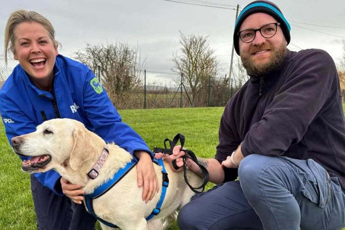 В Британии супружеская пара вновь нашла свою любимую собаку после семилетней разлуки