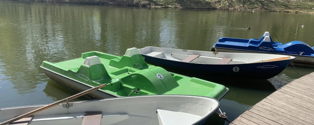 В Красногорске открылся сезон прогулок на катамаранах и лодках