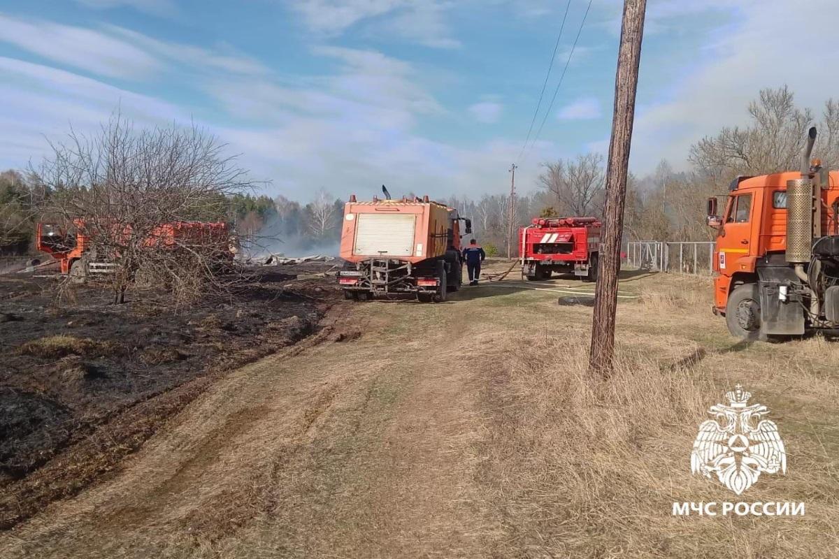 В связи с жаркой погодой в Рязанской области объявлен третий уровень пожарной опасности