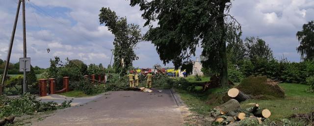 В Польше мощный смерч повредил около 120 зданий
