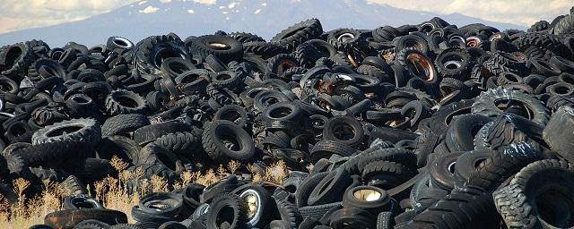 Власти Липецкой области обсудили возможность утилизации шин