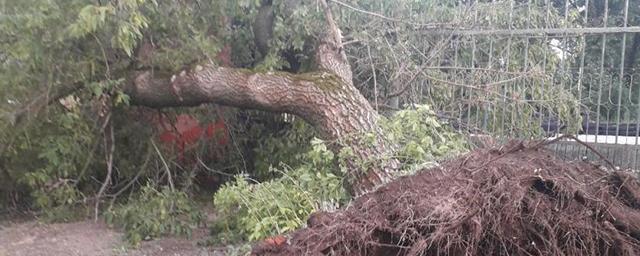 На Тамбовскую область обрушился ураган
