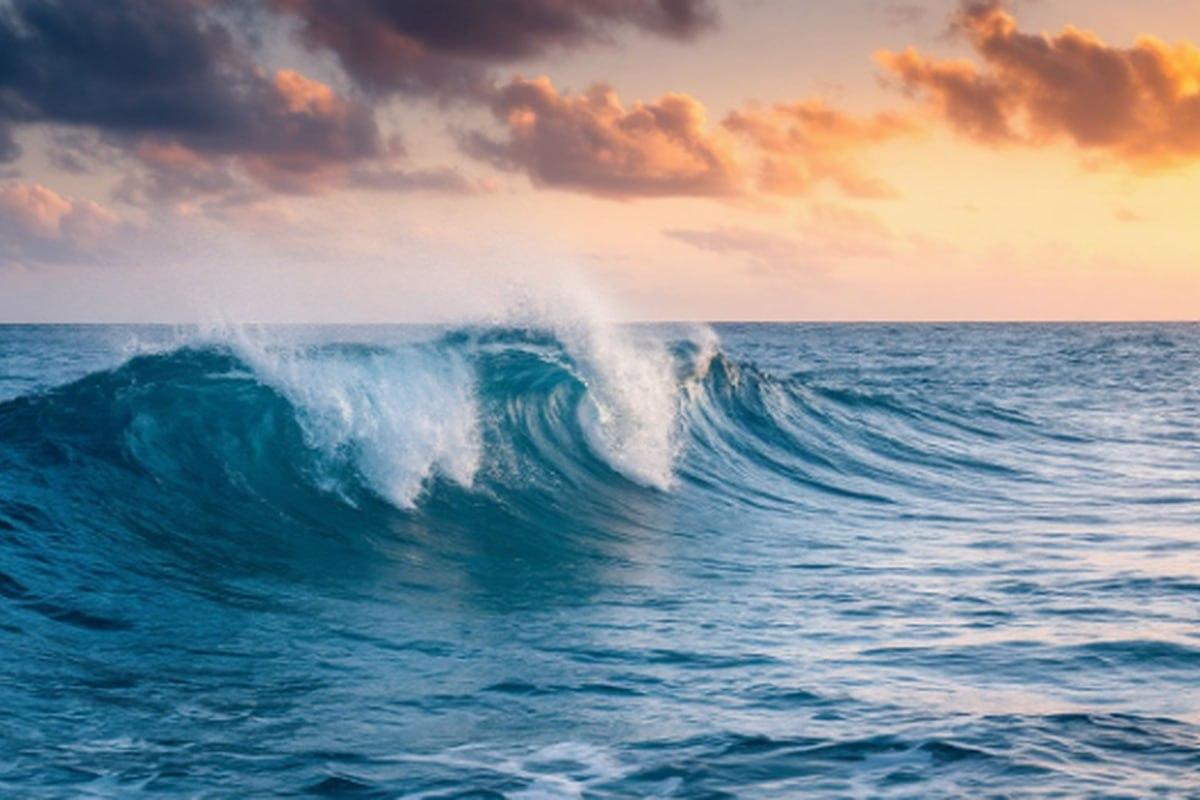 Тревожное открытие: за 20 лет пятая часть океана потеряла прозрачность