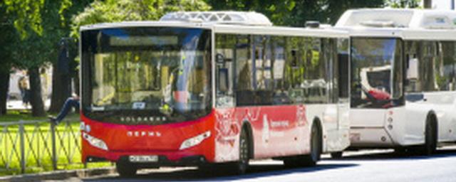 В Перми с 15 июля поменяют еще пять автобусных маршрутов