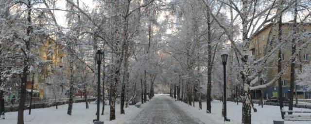 В Новосибирской области на этой неделе ожидаются 23-градусные морозы