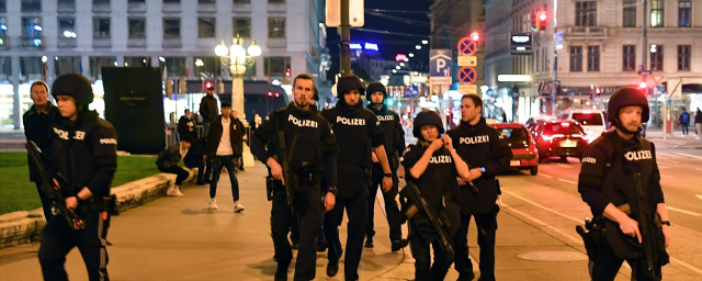 Половина задержанных после теракта в Австрии имеют судимость