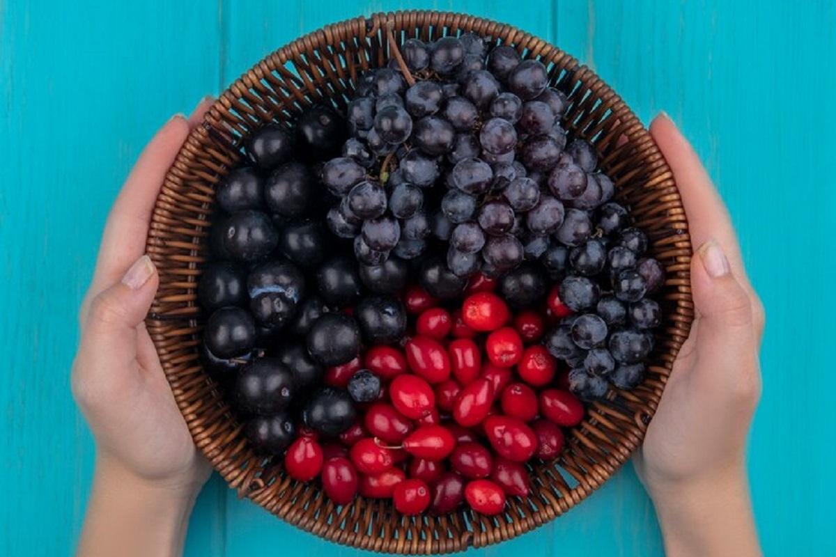 Врач раскрыл ягоду для снижения сахара в крови — продается везде, а работает на ура очень быстро