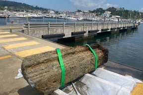 Тайна затопленного порта: археологи раскрыли инженерный гений древних римлян