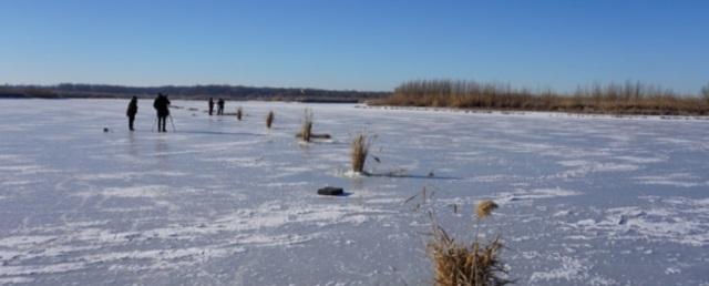 В водоемах Волгоградской области экологи спасают рыбу от замора