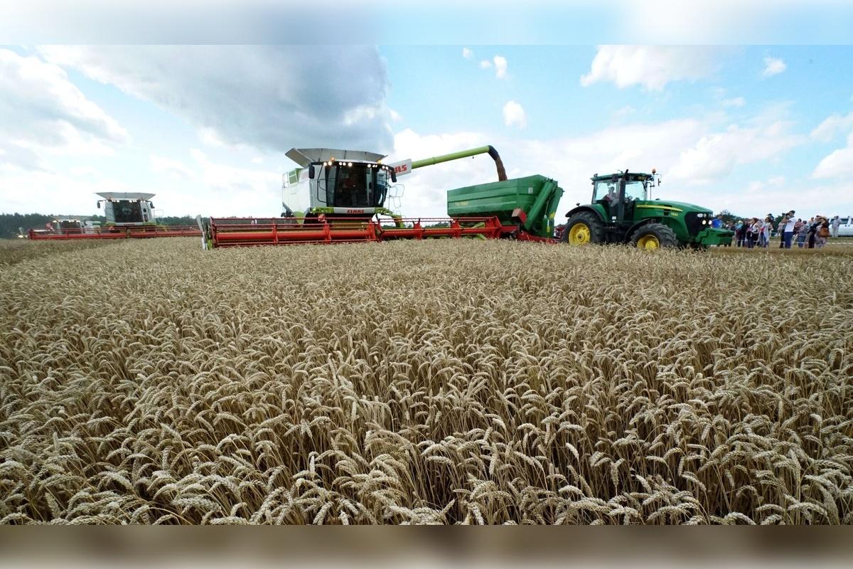 За 5 лет смогли получить господдержку более 680 фермеров и сельхозкооперативов Башкортостана