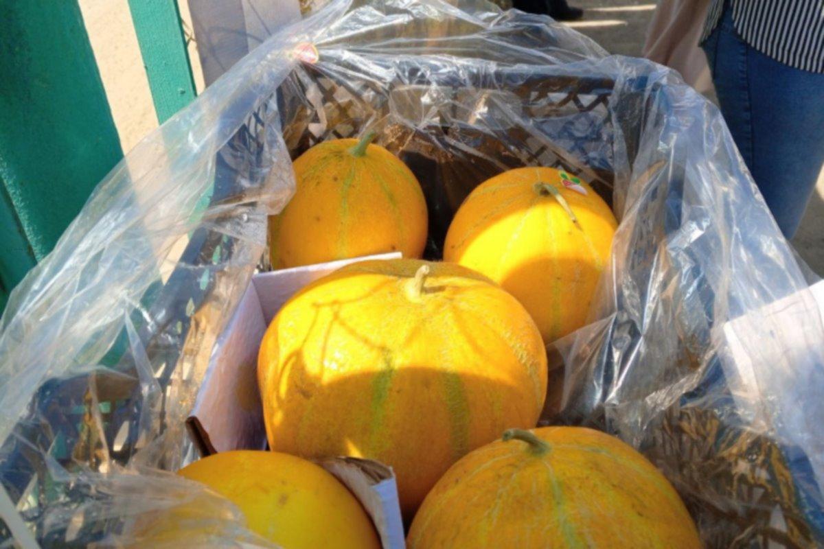 Более 20 тонн казахстанских дынь не дошли до Екатеринбурга из-за проблем с документами