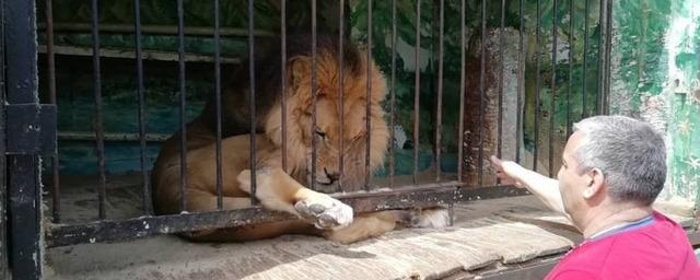 В Новосибирской области жители помогают питомцам передвижного зоопарка