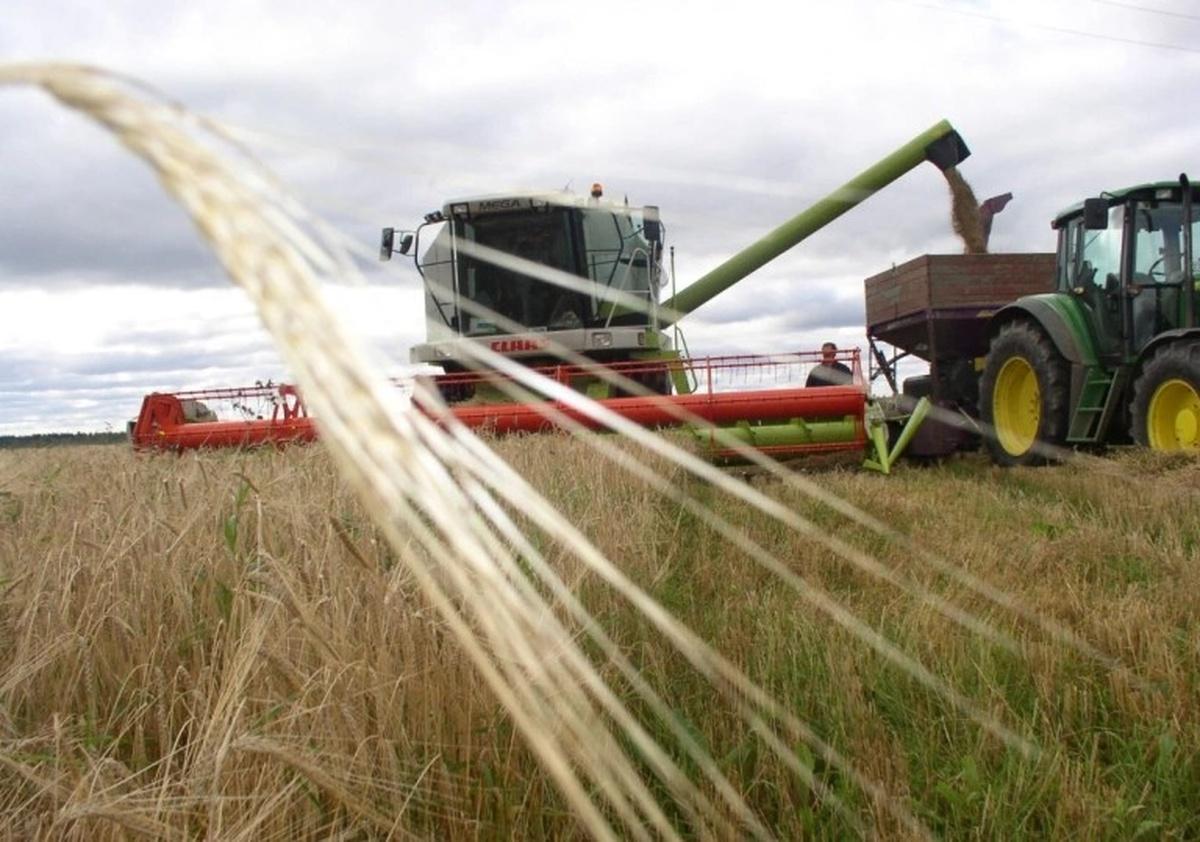 В Ленобласти на торги выставили предприятие обанкротившегося холдинга «Фаэтон»