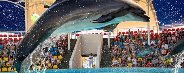 В Крыму Россельхознадзор выдал лицензии 20 зоопаркам и дельфинариям
