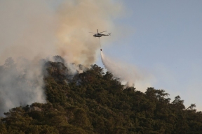 В турецкой Анталье по неизвестной причине вспыхнул крупный лесной пожар