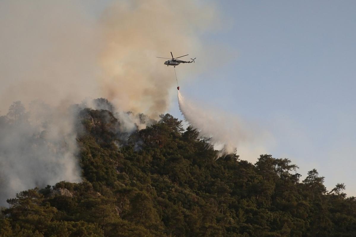 В турецкой Анталье по неизвестной причине вспыхнул крупный лесной пожар