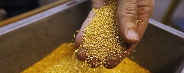 Индия опровергла находку месторождения с огромными запасами золота