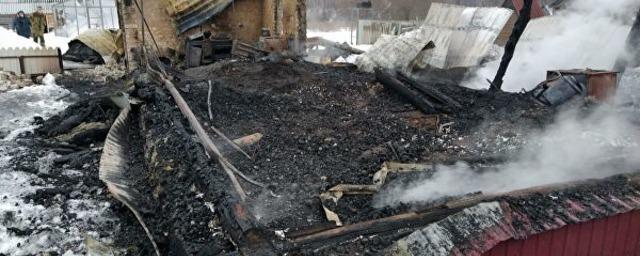При пожаре в селе в Пензенской области погибли два человека
