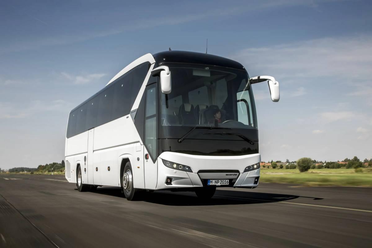 Жителей Ярославской области могут бесплатно обучить водить автобус