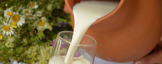 В РФ планируют переименовать молочные продукты с растительными жирами
