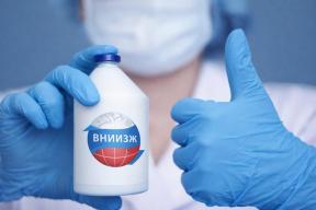 Российская армия освободила два населённых пункта в Запорожской области и ДНР