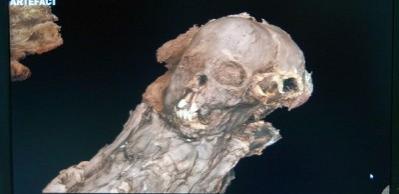 Томские ученые создали 3D-модель мумии мальчика XIII века