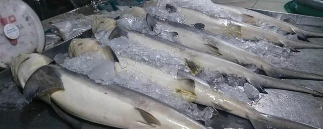 Сахалин увеличил экспорт рыбы и морепродуктов в шесть стран мира