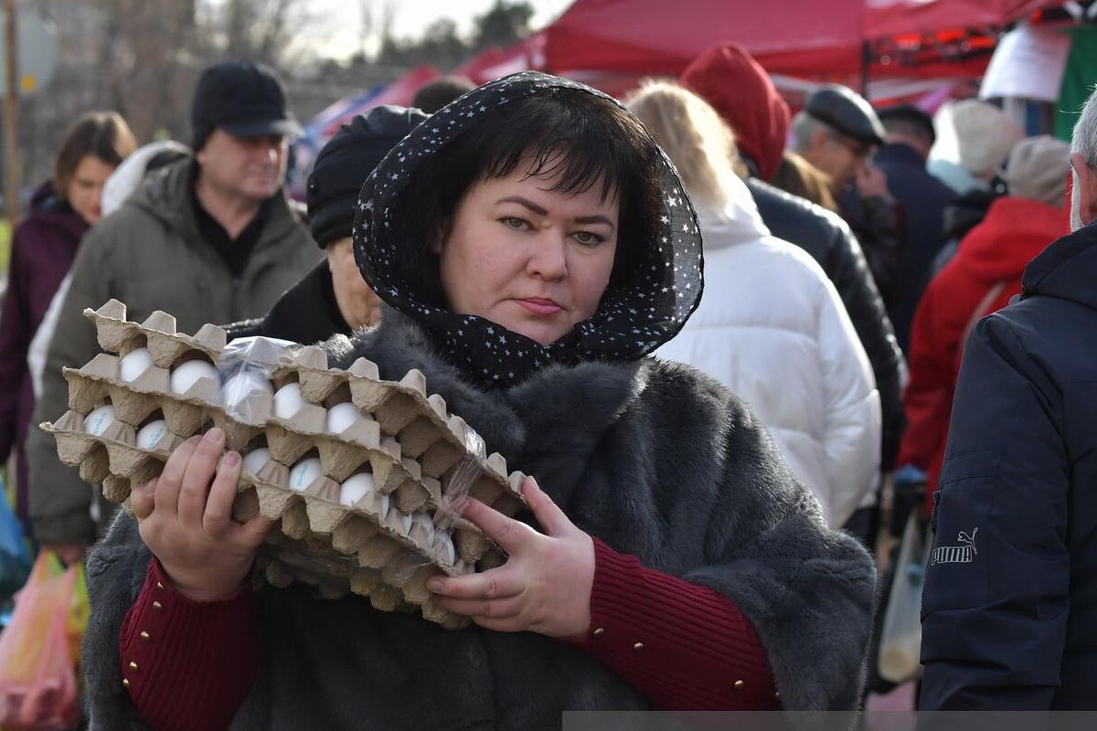 Специалисты Мурмансктата признали цену на картофель антилидером исследования