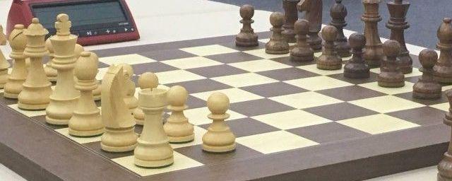 Жителей Югры призвали помочь в разработке логотипа шахматной Олимпиады