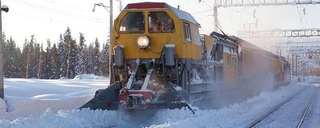 В Башкирии глухонемая женщина с двумя детьми попала под грузовой поезд