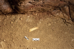На Алтае обнаружили диадему возрастом 40 тысяч лет