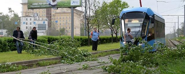 В Москве из-за урагана возникли перебои в работе городского транспорта
