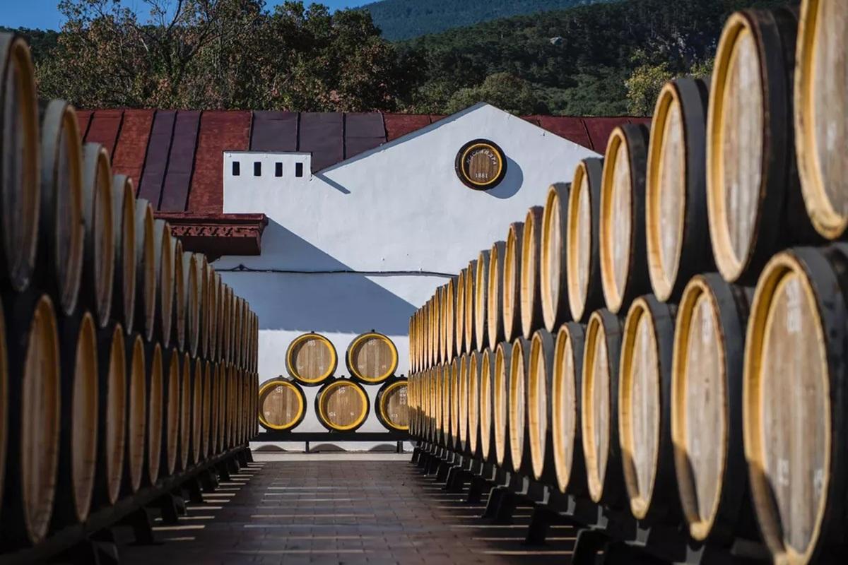 На Алтае возрождают виноделие: зарегистрирована первая винодельня края