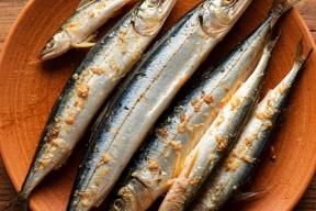 В России прогнозируют возобновление промысла сайры